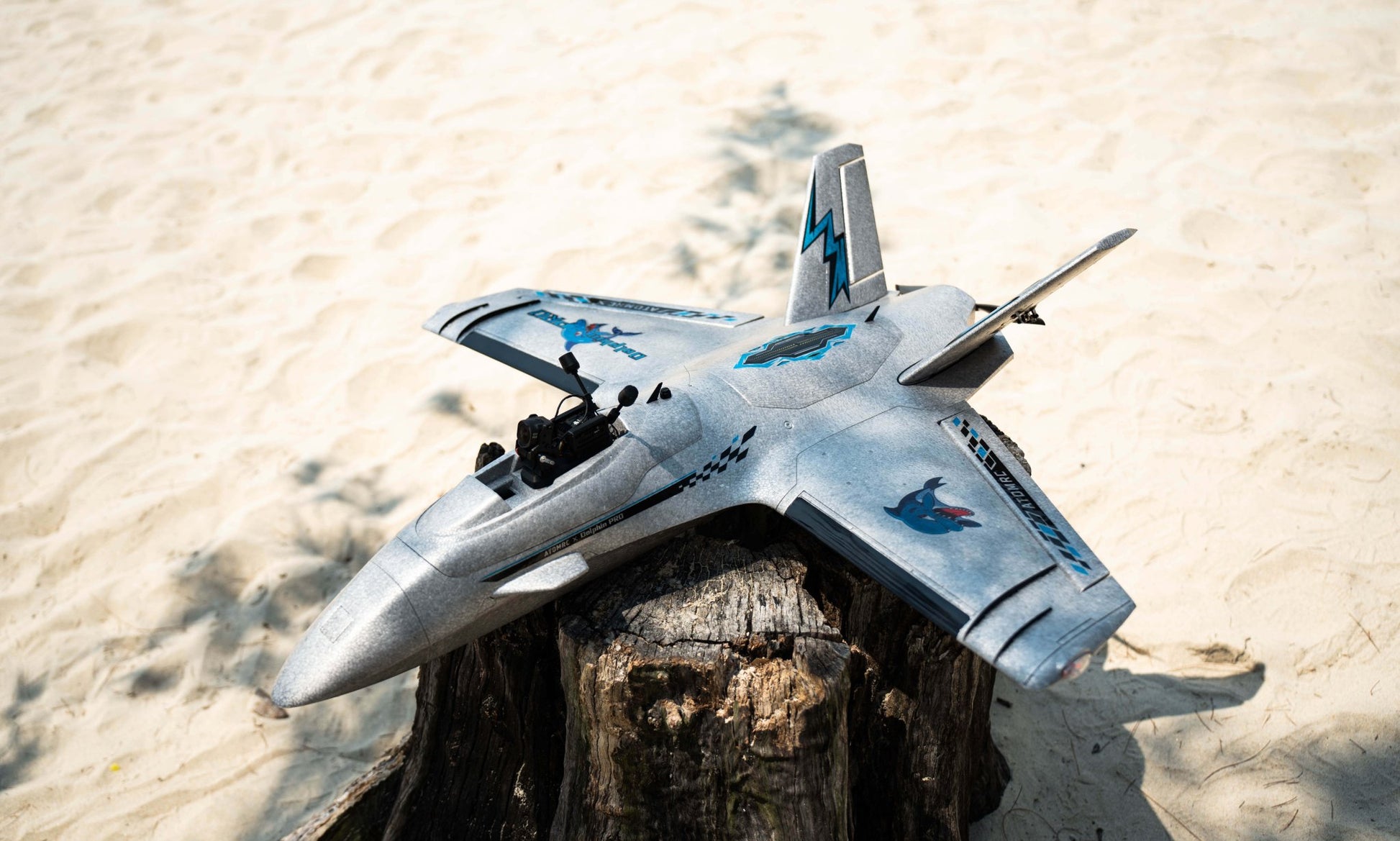 Atomrc Dolphin Pro FPV RTH 800mm Wingspan Fixed Wing - BLACK - Buzz Fpv