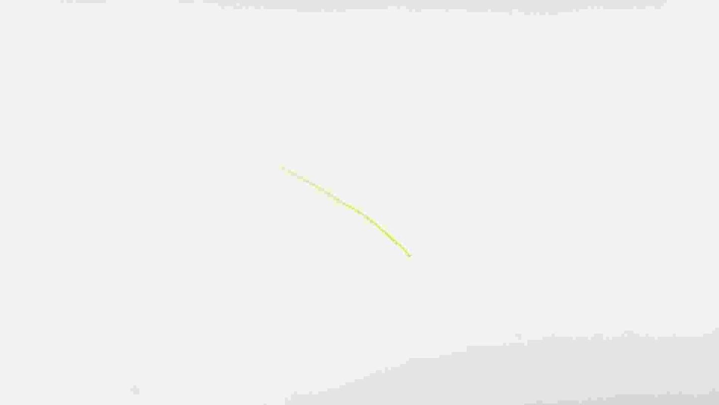 NewBeeDrone Replacement 2.4 Hair Antenna for Beeceiver V1 / Beebrain FC (1pc)