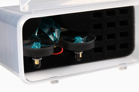 BeeBrain Lite DSM - Project Mockingbird Edition