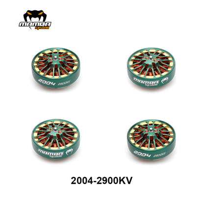 2900KV_8