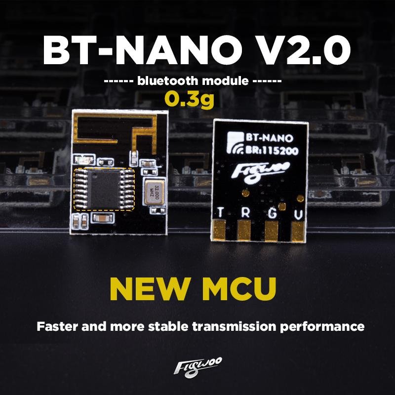 FLYWOO BT-NANO V2 Bluetooth Module